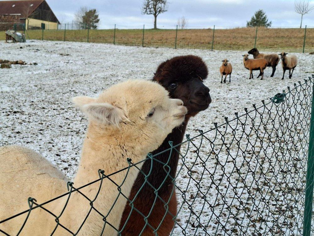 Wir warten auf unsere Gäste