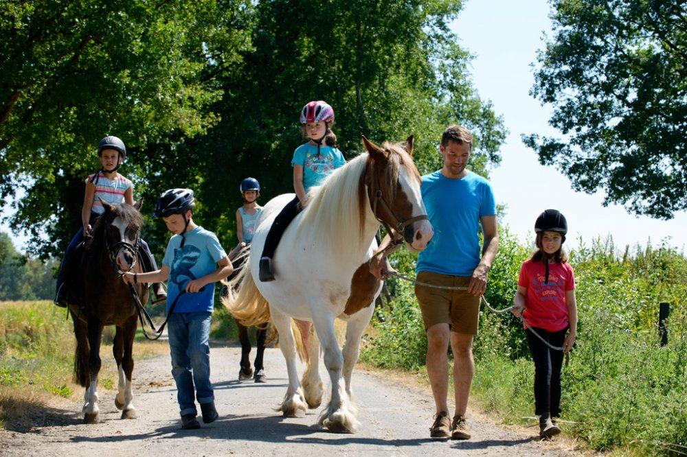 Ausritt mit den Pferden Ausritt mit den Pferden