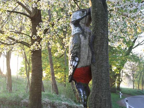 Specht in Hütscheroda Specht in Hütscheroda