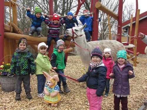 Spielplatz mit Alpaka