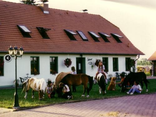 Ponyhof Neuholland Ferienwohnungen