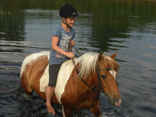 Ponyhof Neuholland
