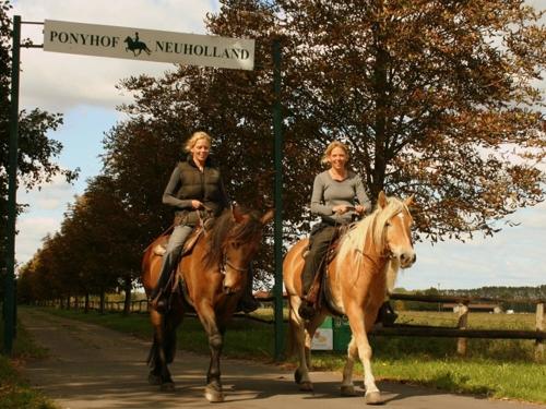 Ponyhof Neuholland