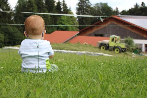 Silage Ernte