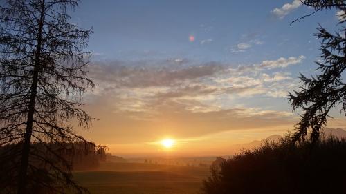 Schusterhof Morgenstimmung