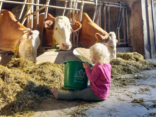 Schusterhof Kuhstall