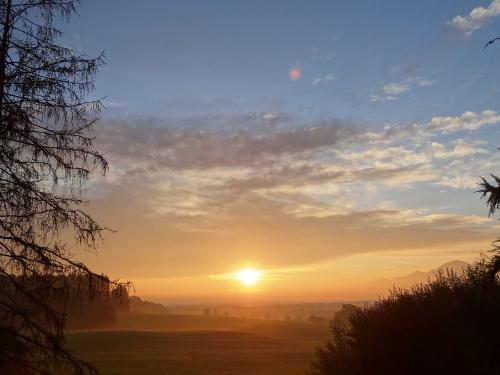 Schusterhof Morgenstimmung