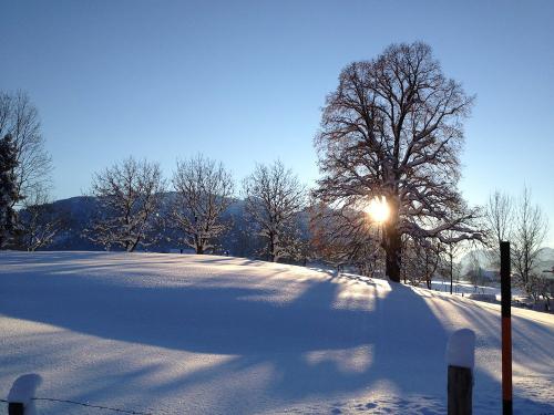 Schneelandschaft