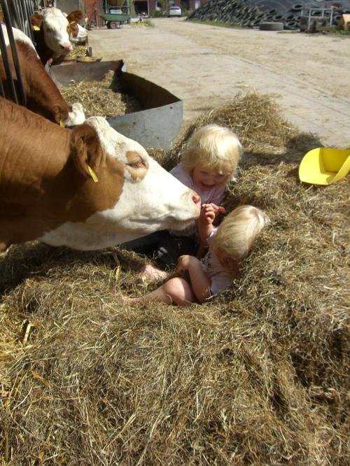 Glückliche Gästekinder