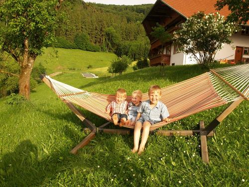 im Gras tollen