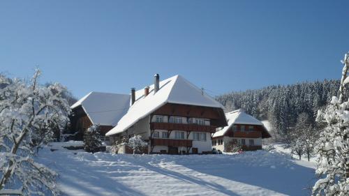 Winterbild