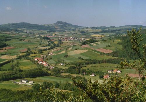 Blick ins Scheppenbachtal
