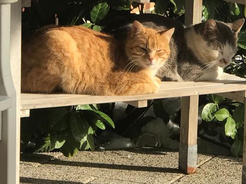 da924d81-6348-4c9e-a314-5ebe873662cb