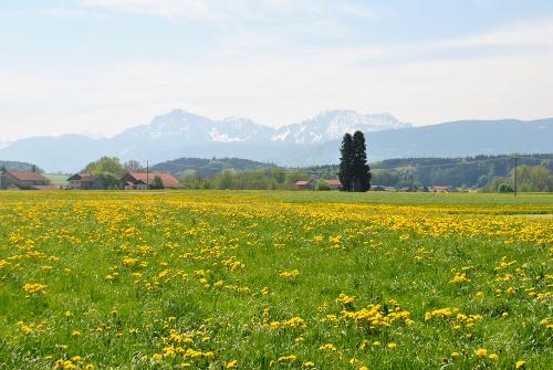 "die schönsten Aussichten vom Hof"