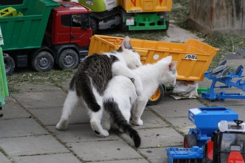 "Gute Freunde kann niemand trennen"