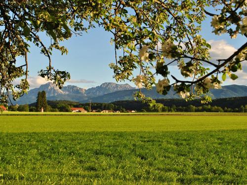 Ausblick vom Mühlberger Hof Ausblick vom Mühlberger Hof