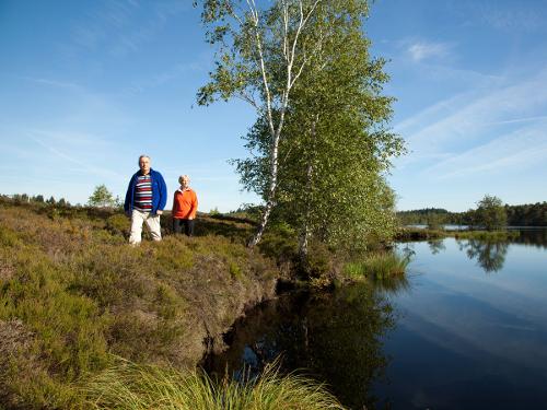 schöne Moorseewanderung ca.1,2 km von unserem Hof entfernt schöne Moorseewanderung ca.1,2 km von unserem Hof entfernt