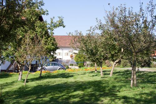 hofbild_03