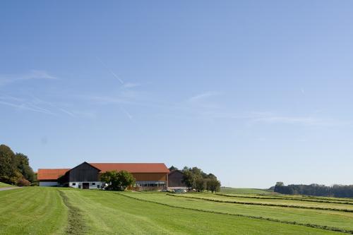 hofbild_02