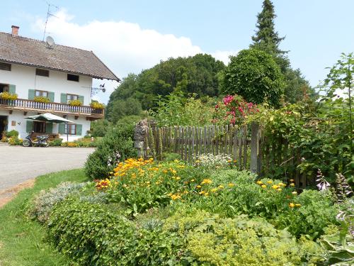 hofbild_04