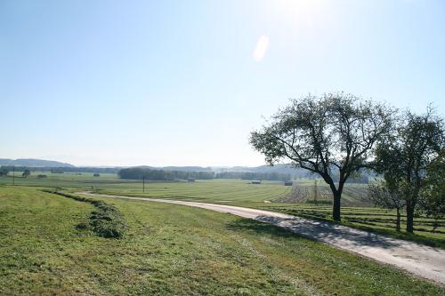 obstgarten_01