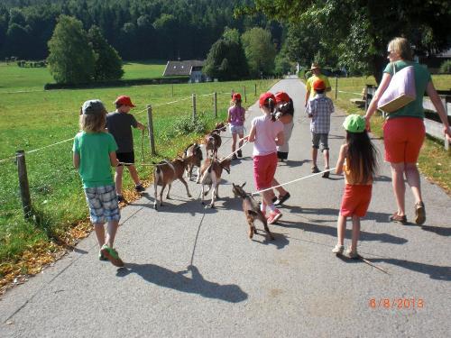 Ziegenwanderung