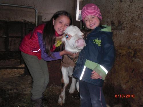 Kinder mit Kalb