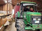 Füttern mit dem Traktor