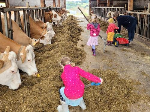Mithilfe im Stall
