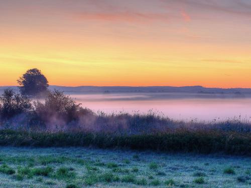 ries3 Pfäfflinger Wiesen
