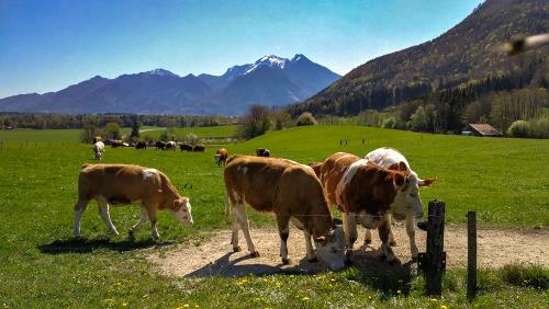 lrm_export_20190421_161831