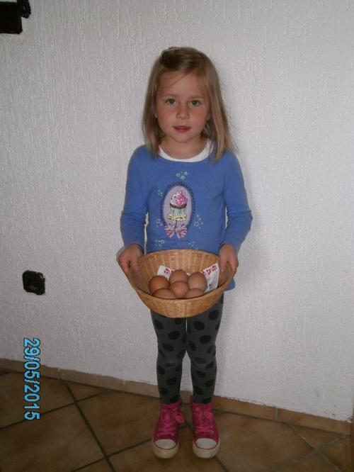 Eiersuchen im Hühnerstall