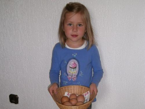 Eiersuchen im Hühnerstall Eiersuchen im Hühnerstall