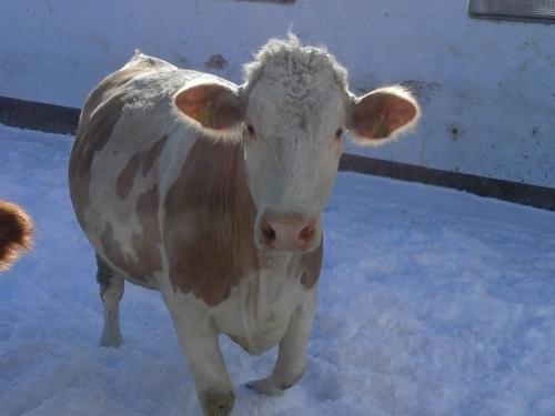 20190204_105306 20190204_105306