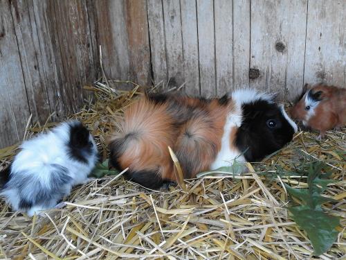 20170809_145737 20170809_145737