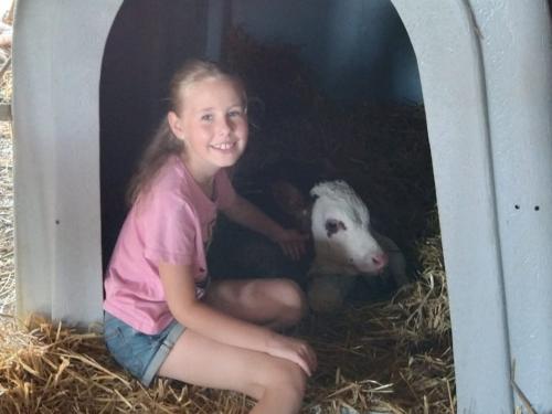 img-20230826-wa0010 img-20230826-wa0010