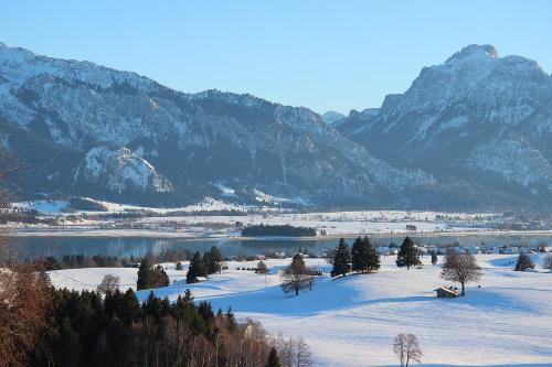 Winterlandschaft Schnee Forggensee Säuling