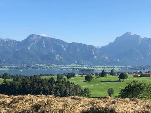 Panoramablick vom Berghof - Blick auf Forggensee Panoramablick vom Berghof - Blick auf Forggensee
