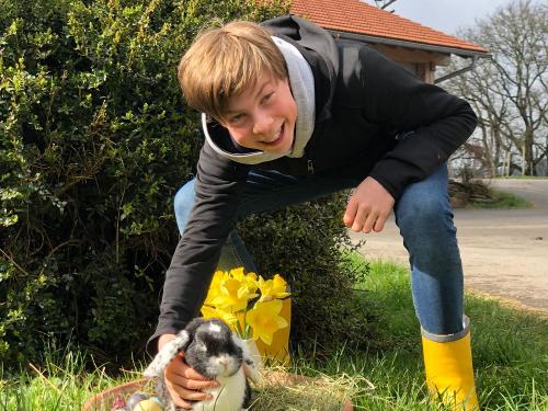Berghof Kinker Roßhaupten Kind mit Kaninchen Berghof Kinker Roßhaupten Kind mit Kaninchen