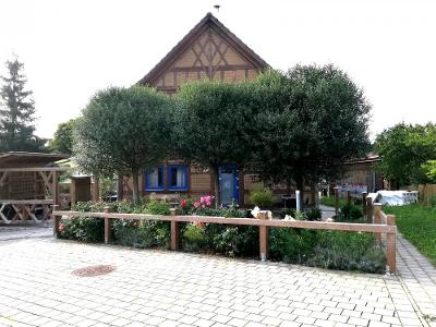 Das HOLTZHAUS, Süd-Ansicht