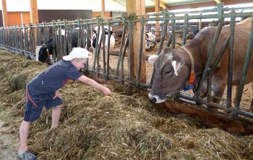 Bei uns im Stall - Landwirtschaft hautnah erleben