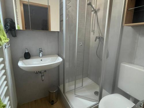 Badezimmer Appartement Edelweiß