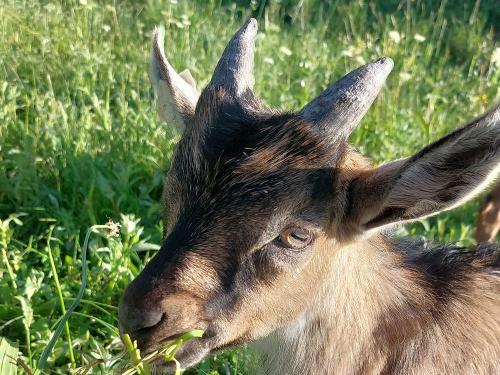 Kleiner Mann hat Hunger
