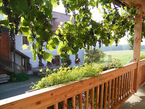 Blick auf Ferienhaus