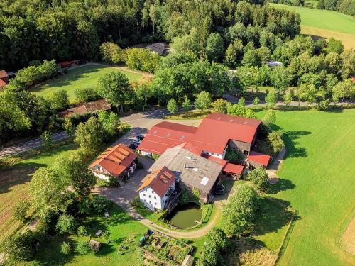 Bild Tobi Frauendorfer