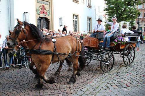 Kutschfahrten