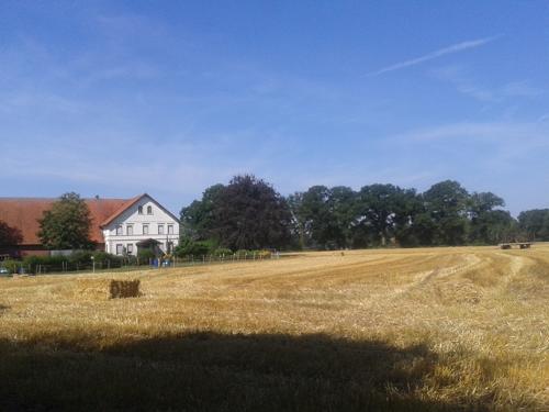 20140719_104800