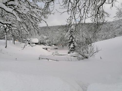 IMG-20221206-WA0022