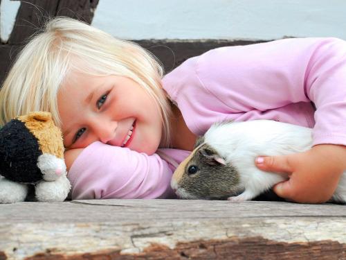 Kind mit Meerschweinchen