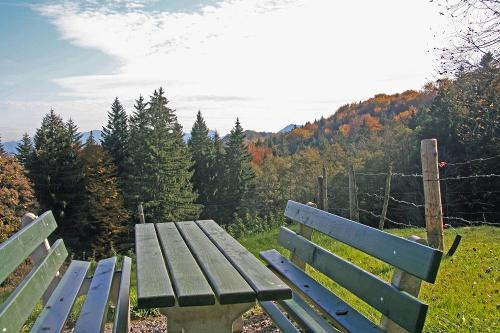 bankerl_herbst0435